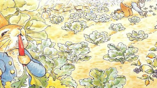 'Peter Rabbit': James Corden y Rose Byrne podrían unirse al reparto de la película noticias imagen