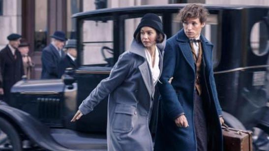 'Animales fantásticos y dónde encontrarlos': Eddie Redmayne habla sobre el romance de la película