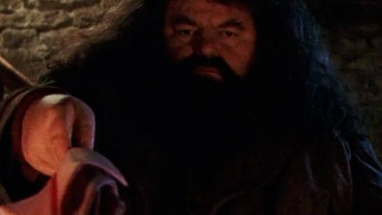 'Harry Potter': ¿Por qué lleva Hagrid un paraguas rosa y para qué sirve?  noticias imagen
