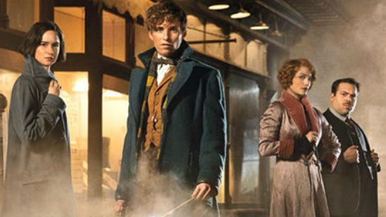 'Animales fantásticos y dónde encontrarlos': ¿Por qué la película ha sido calificada PG-13? noticias imagen