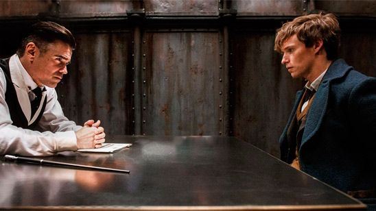 'Animales fantásticos y dónde encontrarlos' iba a rodarse en estilo documental noticias imagen