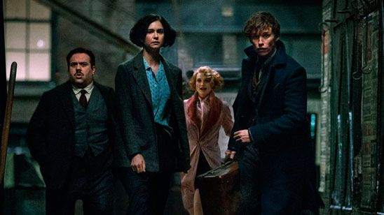 'Animales fantásticos y dónde encontrarlos': Conoce la historia de los nuevos personajes noticias imagen
