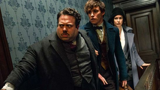'Animales fantásticos y dónde encontrarlos': Newt Scamander y sus aliados protagonizan el nuevo póster noticias imagen