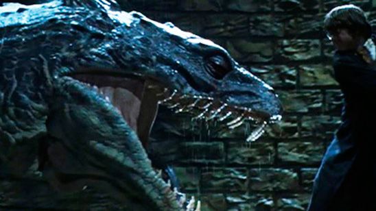 'Harry Potter': Recuerda en este vídeo 14 de las criaturas mágicas más importantes de la saga noticias imagen