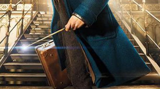 'Animales fantásticos y dónde encontrarlos': Estas son las varitas de los protagonistas del 'spin-off' noticias imagen