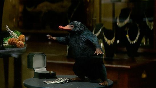'Animales fantásticos y dónde encontrarlos': Mira este vídeo con 10 de las nuevas criaturas que aparecen en la película noticias imagen