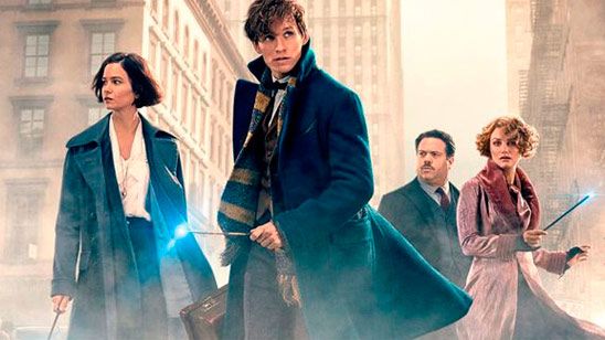 TEST: ¿Qué personaje de 'Animales fantásticos y dónde encontrarlos' eres? noticias imagen