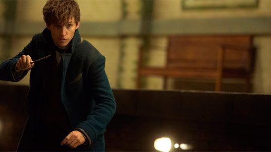 'Animales fantásticos y dónde encontrarlos': La razón por la que Eddie Redmayne no está preocupado porque vayan a ser cinco películas noticias imagen