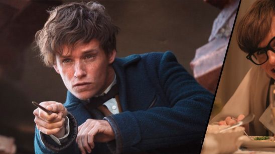 'Animales fantásticos y dónde encontrarlos': Repasa en este vídeo la meteórica carrera de Eddie Redmayne noticias imagen