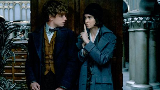 'Animales fantásticos y dónde encontrarlos': ¿Qué significa este nuevo personaje para la saga? noticias imagen