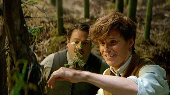 'Animales fantásticos y dónde encontrarlos' conquista la taquilla española noticias imagen