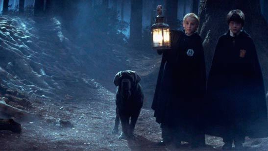 'Harry Potter': El Bosque Prohibido llega al Studio Tour de Londres