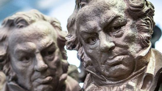 La Academia de Cine denuncia el robo de joyas en los Goya por valor de 30.000 euros  noticias imagen