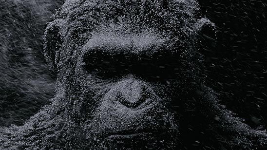 'La Guerra del Planeta de los Simios': Andy Serkis revela que habrá más entregas de la saga después de esta trilogía noticias imagen