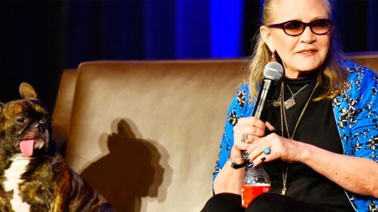 'Star Wars: Los últimos Jedi': Gary, el perro de Carrie Fisher, opina sobre el nuevo tráiler noticias imagen