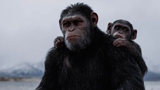 'La guerra del Planeta de los Simios': Descubre cómo se rodó una de las escenas más impresionantes de la película en este vídeo en Primicia noticias imagen