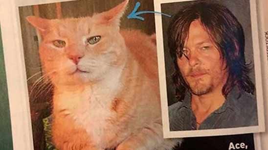 Norman Reedus comparte la imagen de un gato que se parece a él noticias imagen