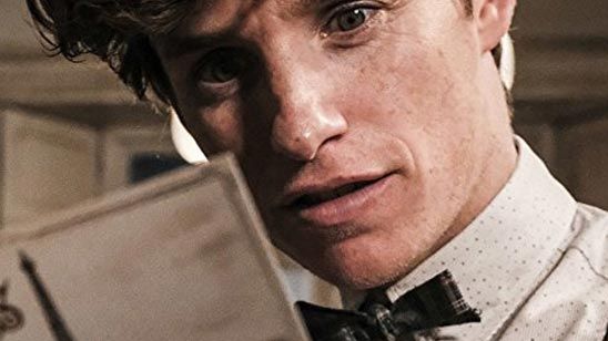 'Animales fantásticos': J.K. Rowling reveló en 2016 que habría cinco películas en cinco países distintos noticias imagen