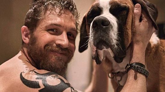 Tom Hardy ayuda a buscar un hogar para estos cachorritos noticias imagen
