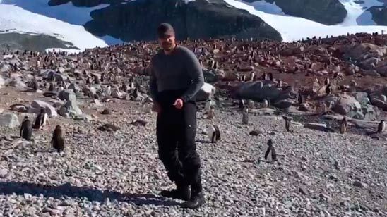 David Harbour ('Stranger Things') llega a la Antártida y baila con pingüinos noticias imagen