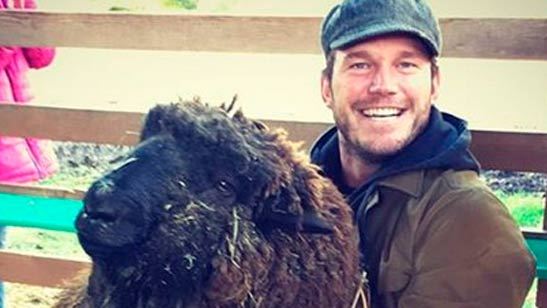 Chris Pratt pide a la gente que rece por la salud de Kevin Smith y provoca quejas