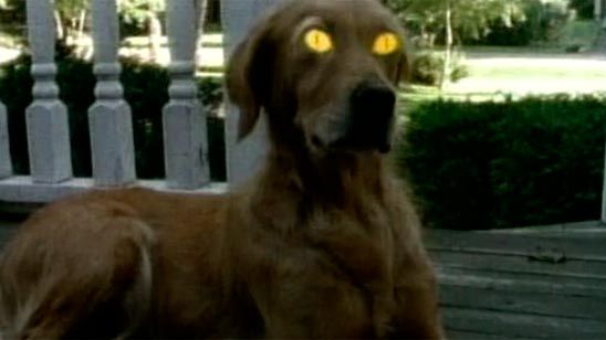 TEST: ¿Qué episodio de 'Pesadillas' eres? noticias imagen