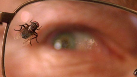 ENCUESTA: ¿Te gustó el episodio de 'La Mosca' de 'Breaking Bad'? noticias imagen