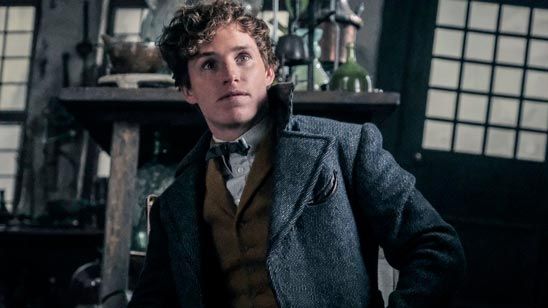 'Animales fantásticos 2': Muere de amor con las primeras imágenes de los bebés escarbato noticias imagen