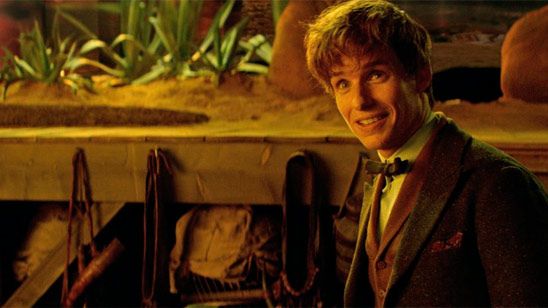 'Animales fantásticos 2': Eddie Redmayne no se esperaba este guiño a 'Harry Potter' noticias imagen