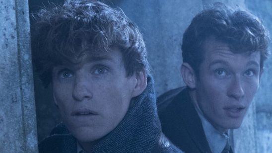 Las primeras reacciones de 'Animales fantásticos 2' destacan la acción y los efectos visuales noticias imagen