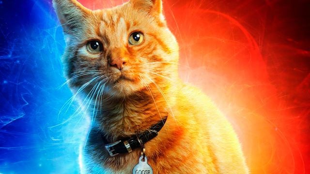 'Capitana Marvel': ¿Cuántos gatos han participado en la nueva película de Brie Larson?