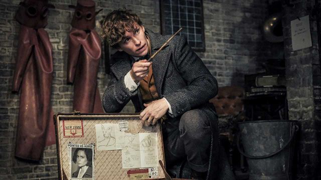 El renacer de Credence y el sótano de Scamander, entre las joyitas de la edición extendida de 'Animales fantásticos 2' noticias imagen