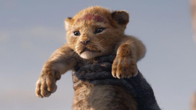 'El Rey León': Zazu, Mufasa y Simba, en la nueva imagen de la película  noticias imagen