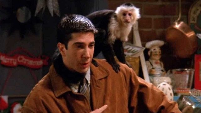 'Y: El último hombre': El mono Marcel de 'Friends' volverá a la televisión para la nueva serie de FX noticias imagen