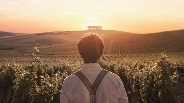 San Sebastián 2019: 'El verano que vivimos', la historia de amor protagonizada por Blanca Suárez, se presenta en el festival con nuevos detalles noticias imagen