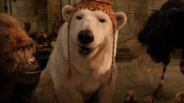 'Las aventuras del doctor Dolittle': Conoce al friolero oso Yoshi con este adelanto en EXCLUSIVA  noticias imagen