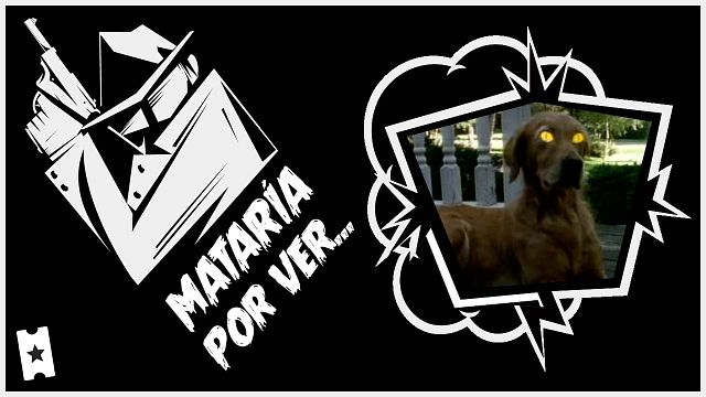 Mataría por ver… Una continuación de 'Pesadillas' (con el mismo tufillo noventero) noticias imagen