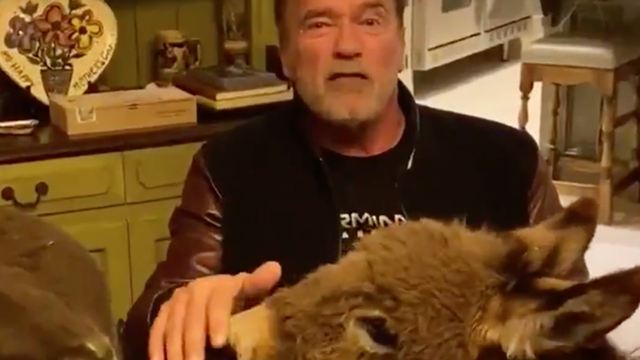 Arnold Schwarzenegger te pide que te quedes en casa por el coronavirus (con su burro y su pony)