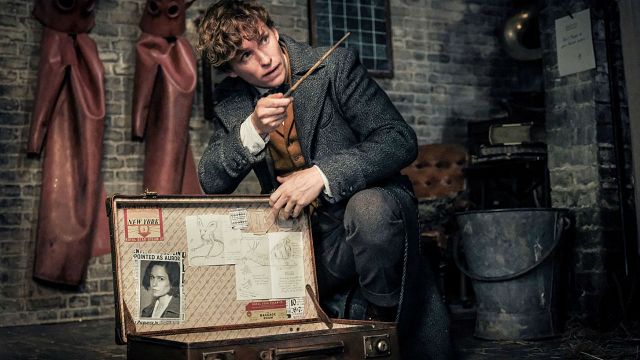 'Animales fantásticos 3': Eddie Redmayne confirma que el rodaje ya ha comenzado  noticias imagen