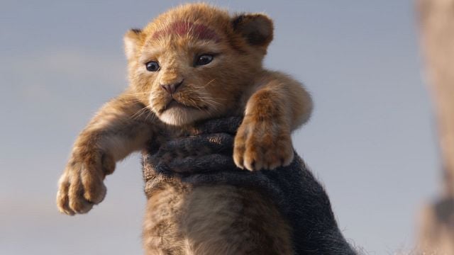 'El rey león 2': Barry Jenkins dirigirá la secuela del 'remake' de Disney noticias imagen