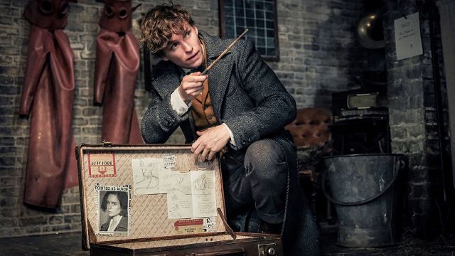 Eddie Redmayne sobre el rodaje de 'Animales fantásticos 3': "De repente te encuentras nadando al aire libre en pleno invierno británico" noticias imagen