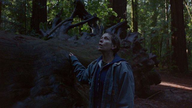 'Nomadland' domina los BAFTA 2021: Lista completa de ganadores noticias imagen