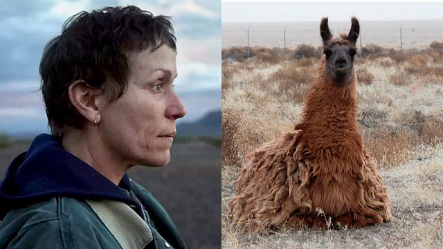 70 habitantes, dos llamas y un desierto: Así es la ciudad real de 'Nomadland' noticias imagen