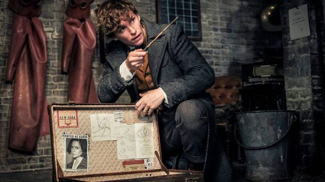 El título de 'Animales fantásticos 3', explicado: ¿Cuáles son los secretos de Dumbledore? noticias imagen