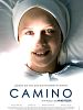 Cartel de Camino