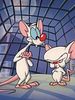 Cartel de Pinky y Cerebro
