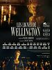 Cartel de Líneas de Wellington