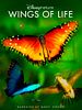 Cartel de Disneynature: Wings of Life