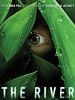 Cartel de The River