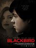 Cartel de Blackbird